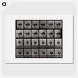 2-1_Eadweard-Muybridge_picture