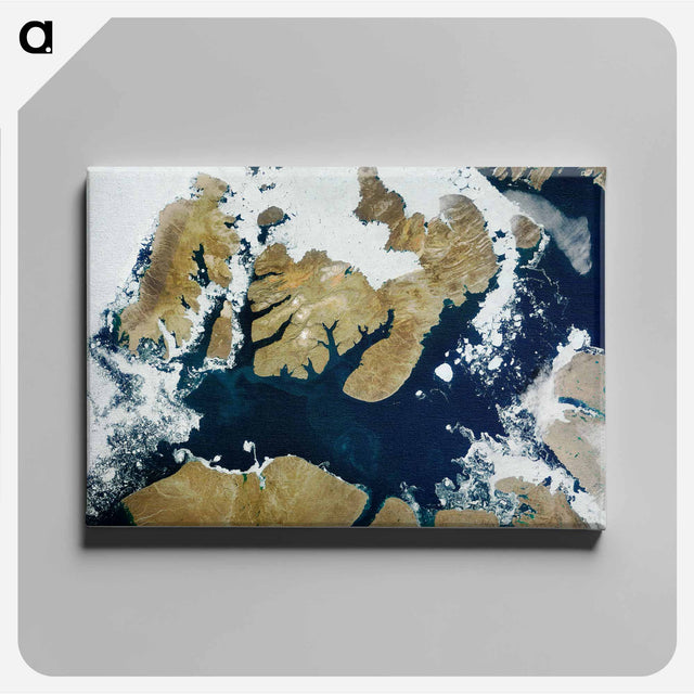 アートパネル-Northwest Passage Ice Conditions
 - 上空からの地球 Canvas.