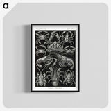 2-1_Ernst-Haeckel_blk-crop