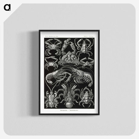2-1_Ernst-Haeckel_blk-crop