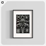 Decapoda–Behnfukkreble from Kunstformen der Natur - エルンスト ヘッケル Poster.