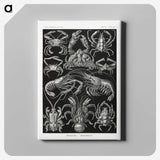 2-1_Ernst-Haeckel_canvas