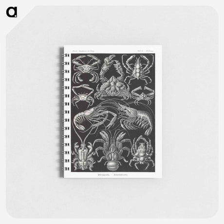アートメモ帳-Decapoda–Behnfukkreble from Kunstformen der Natur - エルンスト ヘッケル Memo.