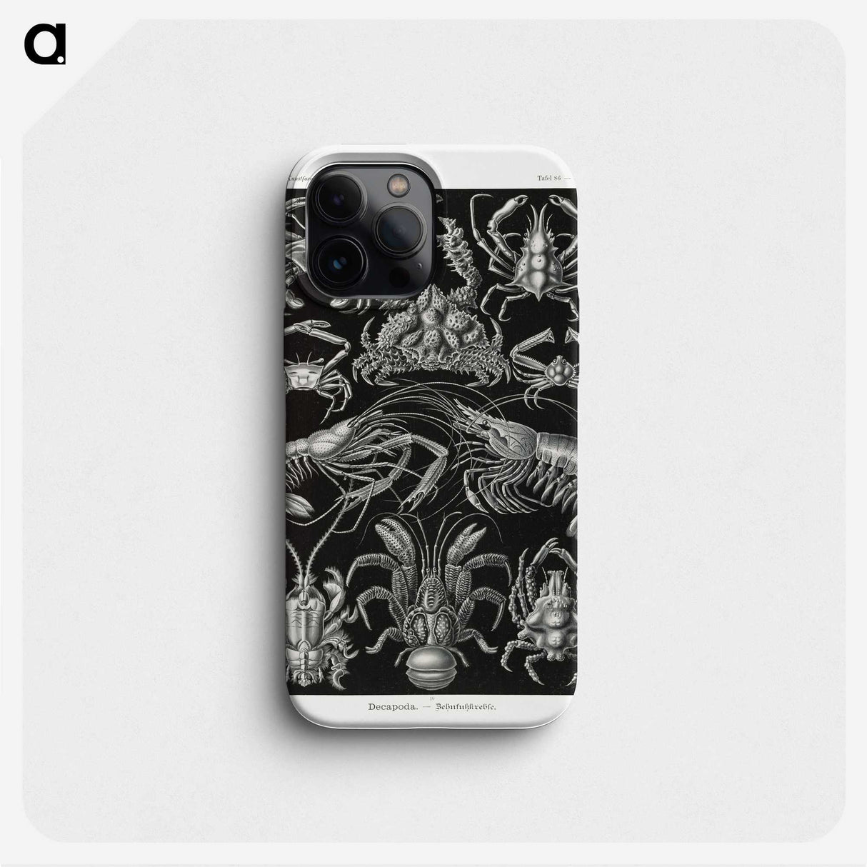2-1_Ernst-Haeckel_phone