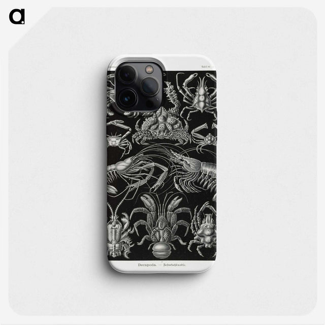 2-1_Ernst-Haeckel_phone