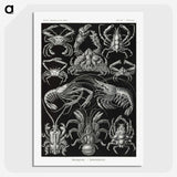 2-1_Ernst-Haeckel_picture-crop