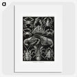 2-1_Ernst-Haeckel_picture
