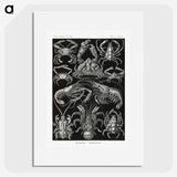 2-1_Ernst-Haeckel_picture