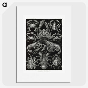 2-1_Ernst-Haeckel_picture