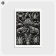 2-1_Ernst-Haeckel_postcard