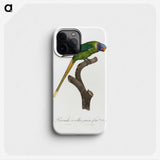 2-1_Francois-Levaillant_phone