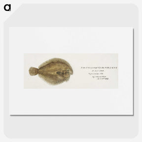 2-1_Frank-Edward-Clarke_picture