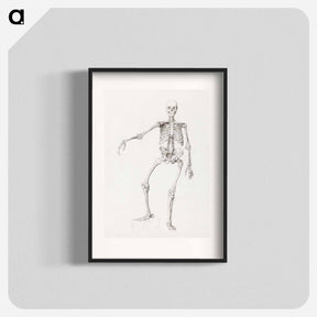 アートポスター-Human Skeleton, Anterior View
 - ジョージ スタッブス Poster.