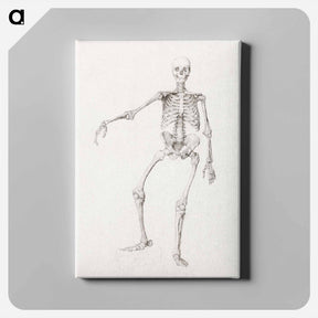 アートパネル-Human Skeleton, Anterior View
 - ジョージ スタッブス Canvas.