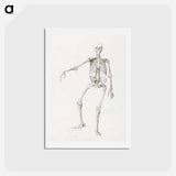 アートポストカード-Human Skeleton, Anterior View
 - ジョージ スタッブス Postcard.