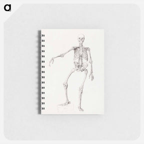 アートメモ帳-Human Skeleton, Anterior View
 - ジョージ スタッブス Memo.