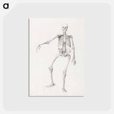 アートポストカード-Human Skeleton, Anterior View
 - ジョージ スタッブス Postcard.