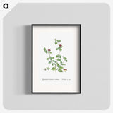 2-1_Histoire-des-Plantes-Grasses_blk