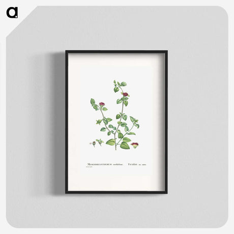 2-1_Histoire-des-Plantes-Grasses_blk