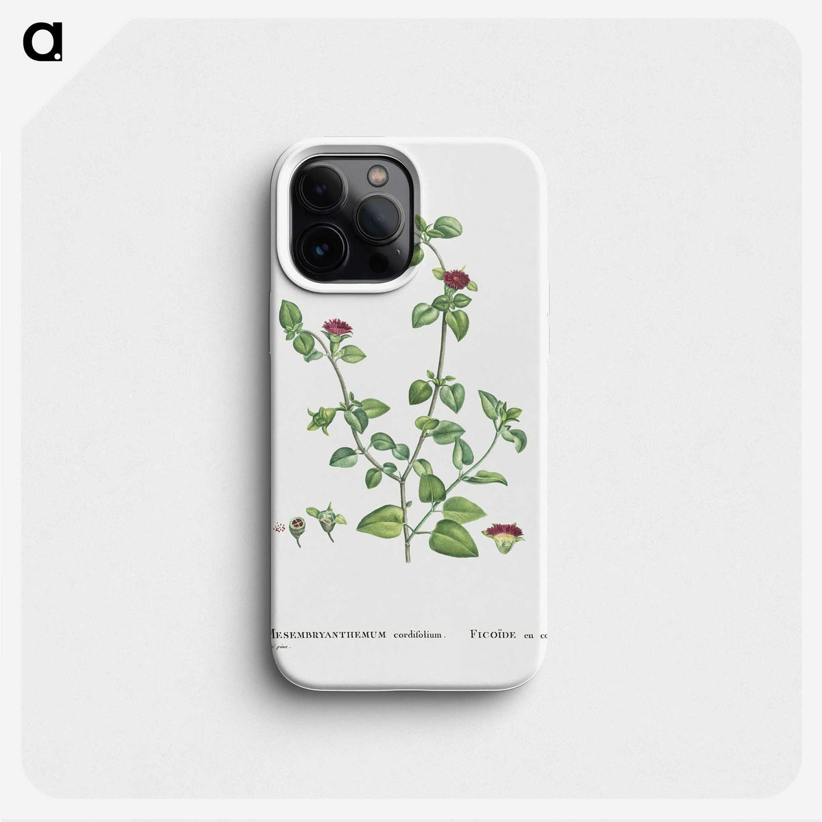 2-1_Histoire-des-Plantes-Grasses_phone