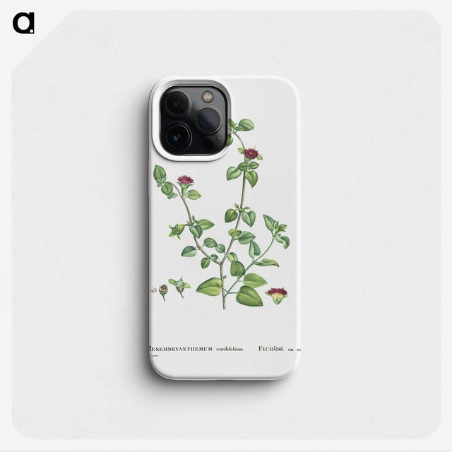 2-1_Histoire-des-Plantes-Grasses_phone
