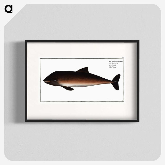 2-1_Ichtyologie-ou-Histoire-naturelle_blk