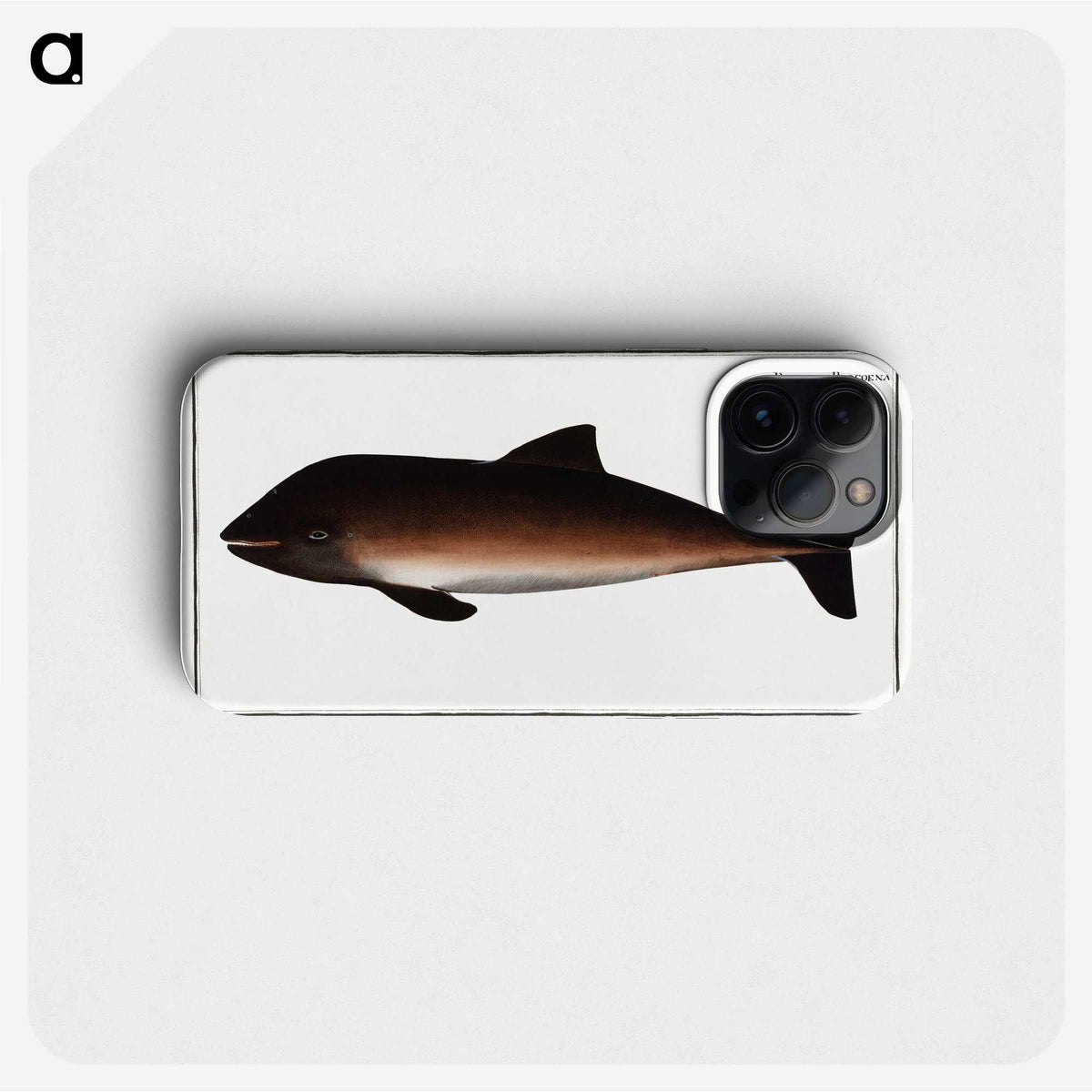 2-1_Ichtyologie-ou-Histoire-naturelle_phone