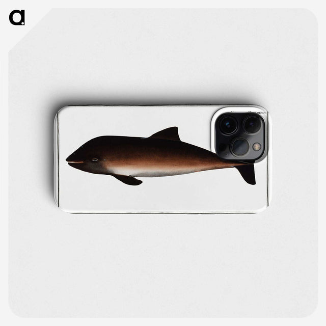 2-1_Ichtyologie-ou-Histoire-naturelle_phone