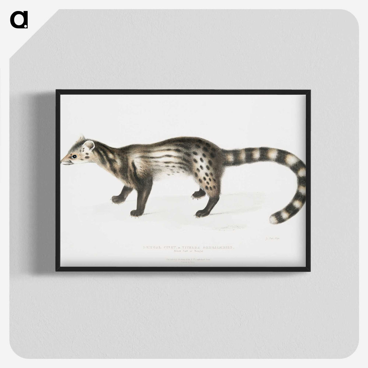 2-1_Indian-Zoology_blk-crop