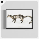 2-1_Indian-Zoology_blk-crop