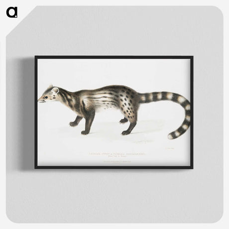 2-1_Indian-Zoology_blk-crop