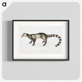 2-1_Indian-Zoology_blk