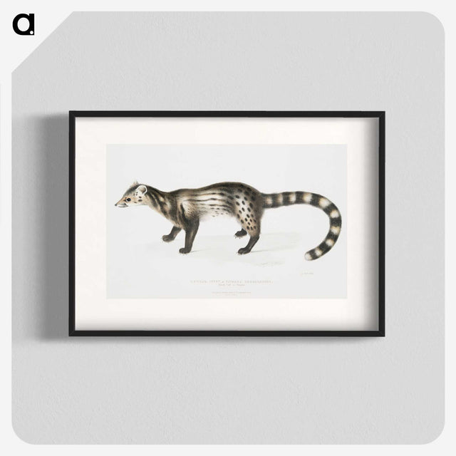 2-1_Indian-Zoology_blk