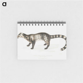 2-1_Indian-Zoology_memo