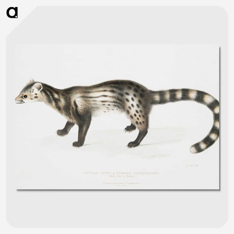 2-1_Indian-Zoology_picture-crop