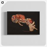 2-1_Insects-Unlocked-Project_blk-crop