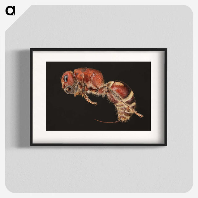 2-1_Insects-Unlocked-Project_blk