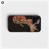 2-1_Insects-Unlocked-Project_phone