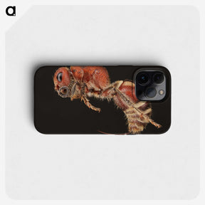 2-1_Insects-Unlocked-Project_phone