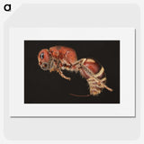 2-1_Insects-Unlocked-Project_picture
