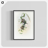 2-1_John-Gould_blk-crop