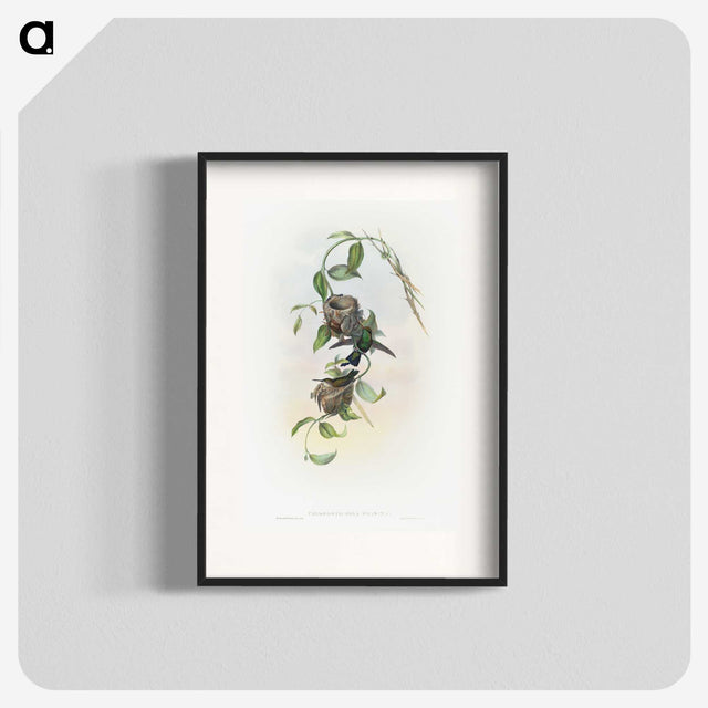 2-1_John-Gould_blk
