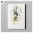 2-1_John-Gould_canvas