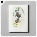 2-1_John-Gould_canvas