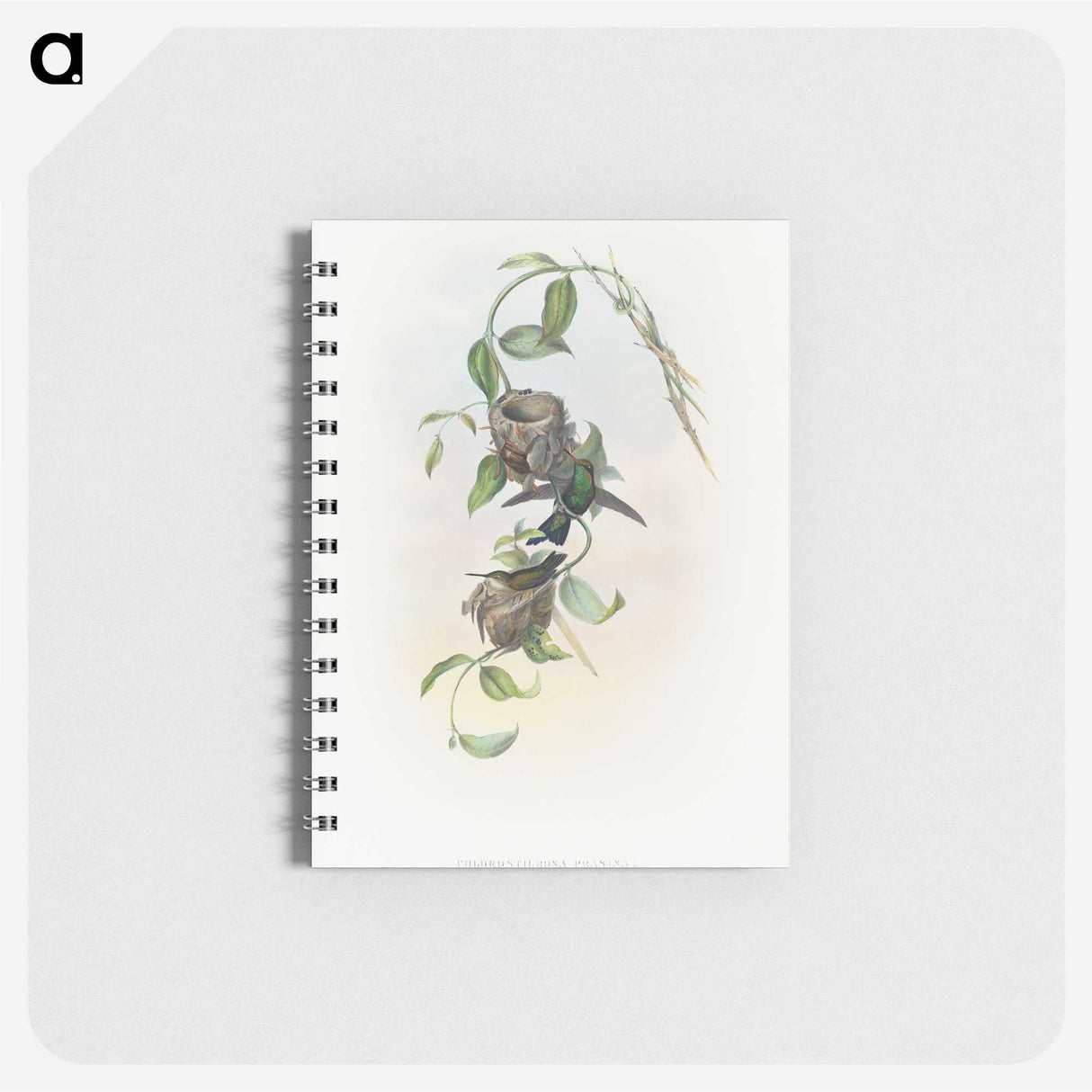 2-1_John-Gould_memo