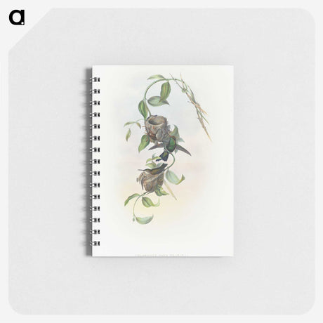 2-1_John-Gould_memo