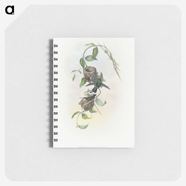 2-1_John-Gould_memo