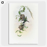 2-1_John-Gould_picture-crop