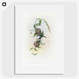 2-1_John-Gould_picture