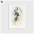 2-1_John-Gould_postcard
